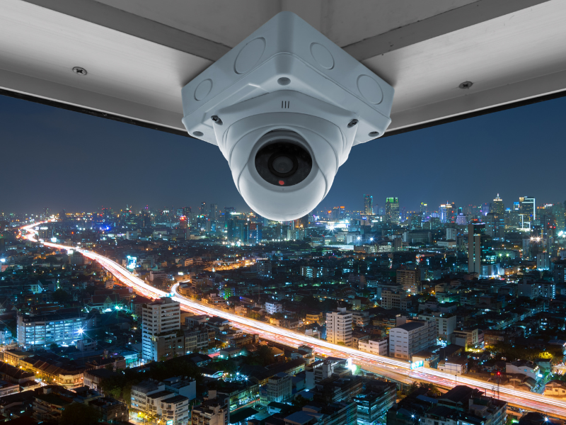 Security Professional