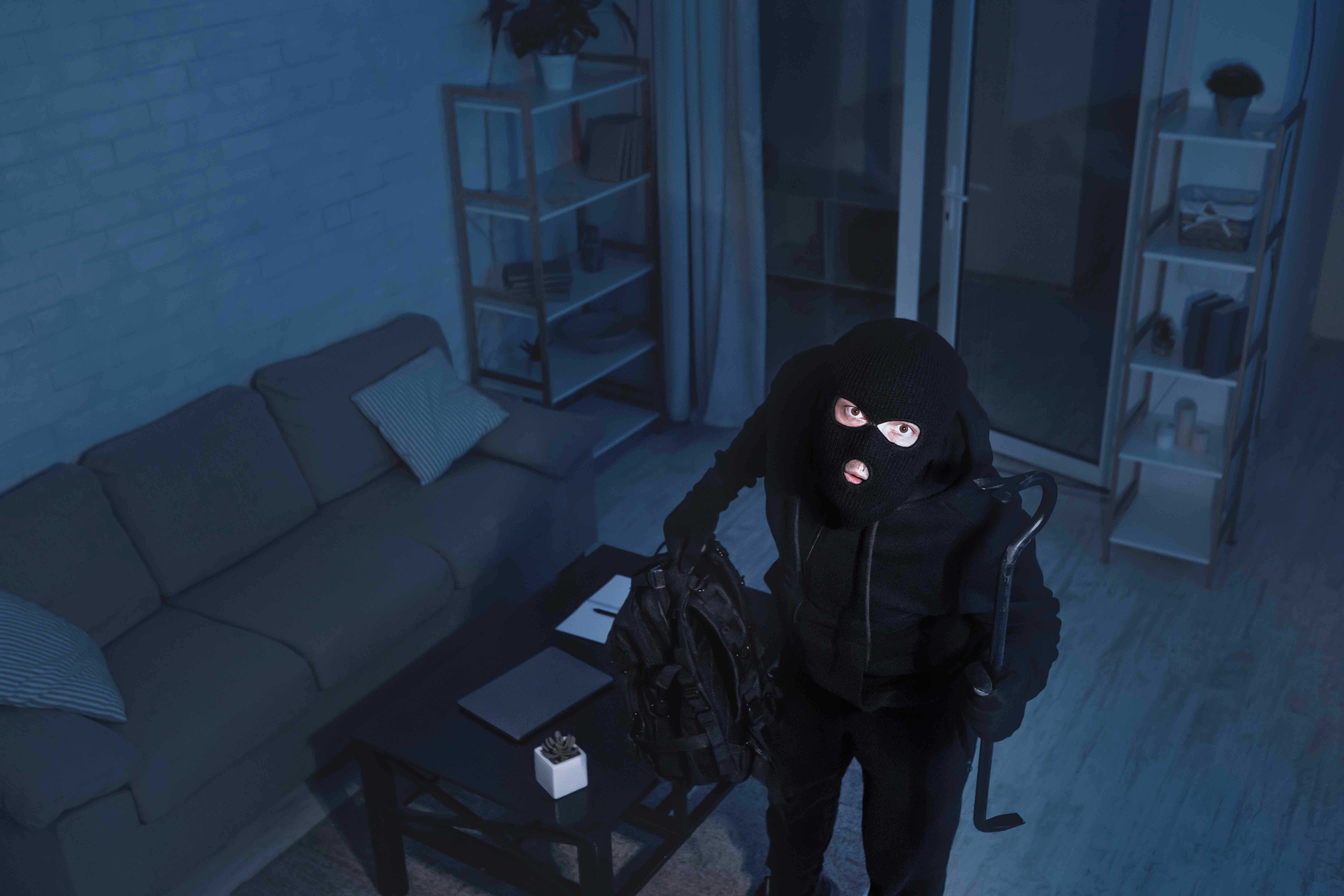 Business Security Professional