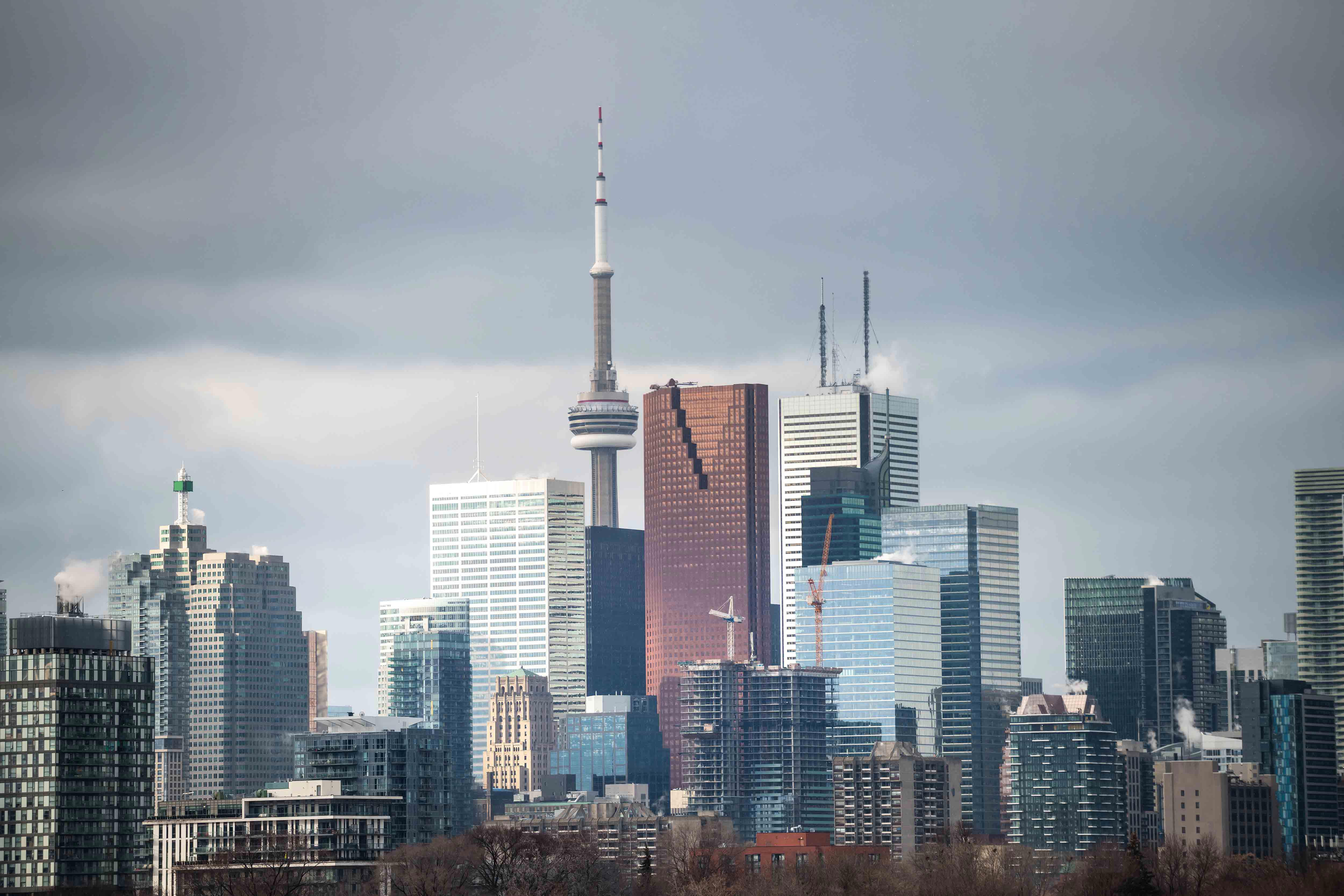 Professional Security Solutions